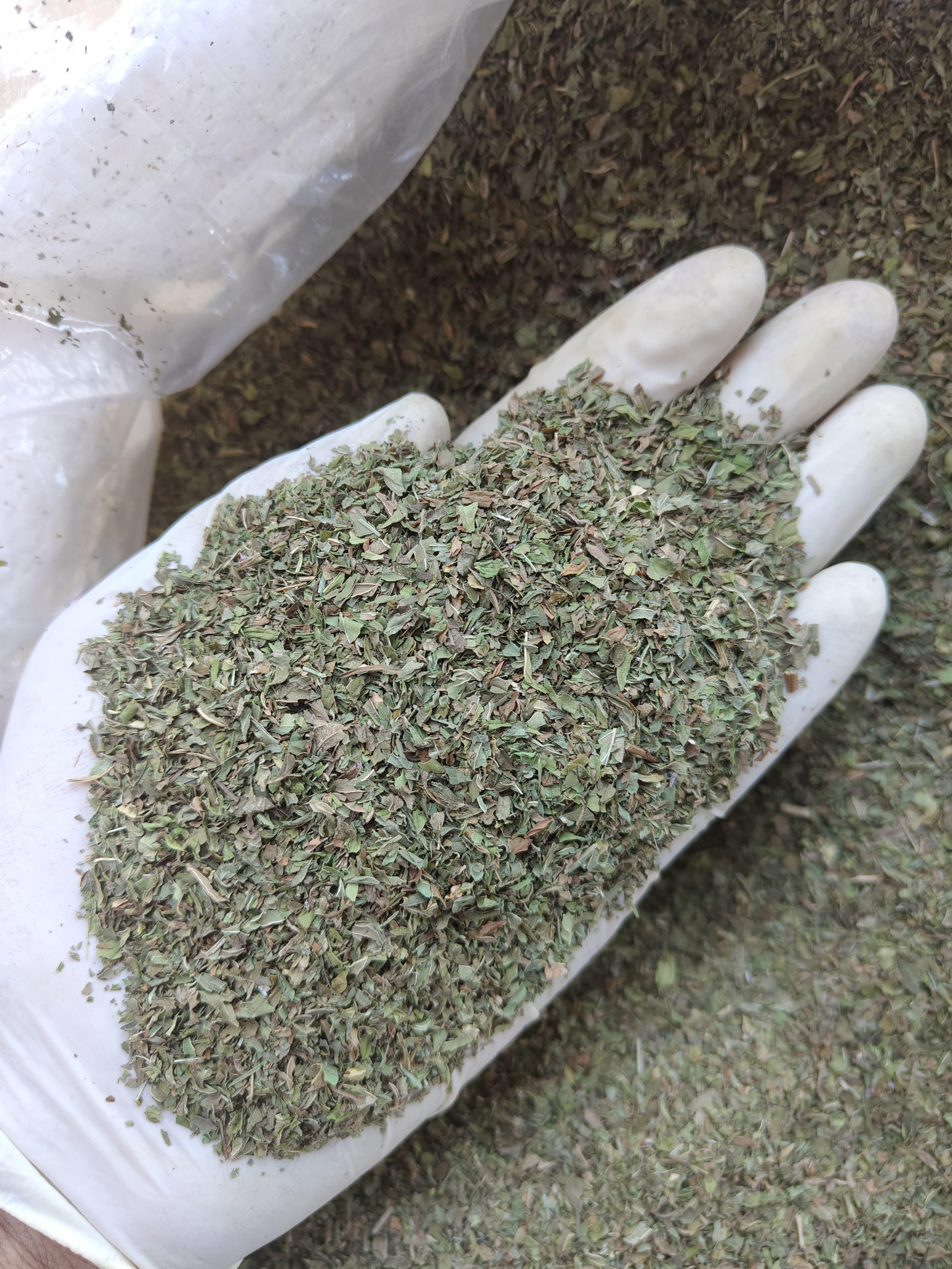 Peppermint Leaves