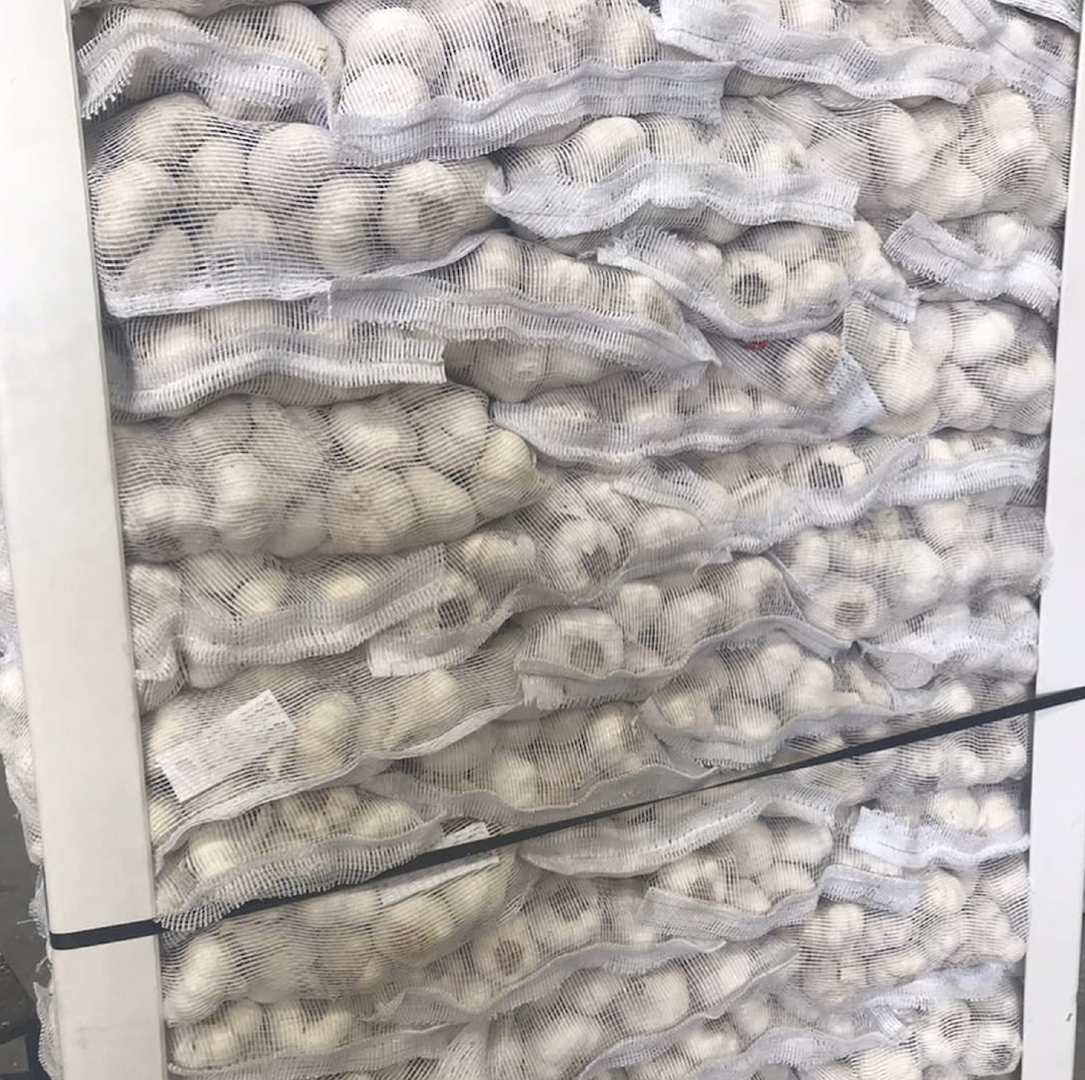 CONSISTENT SUPPLY HIGH QUALITY FRESH GARLIC WHOLE BULBS 6.5cm DIAMETER 10Kg MESH BAGS RICH FLAVOR