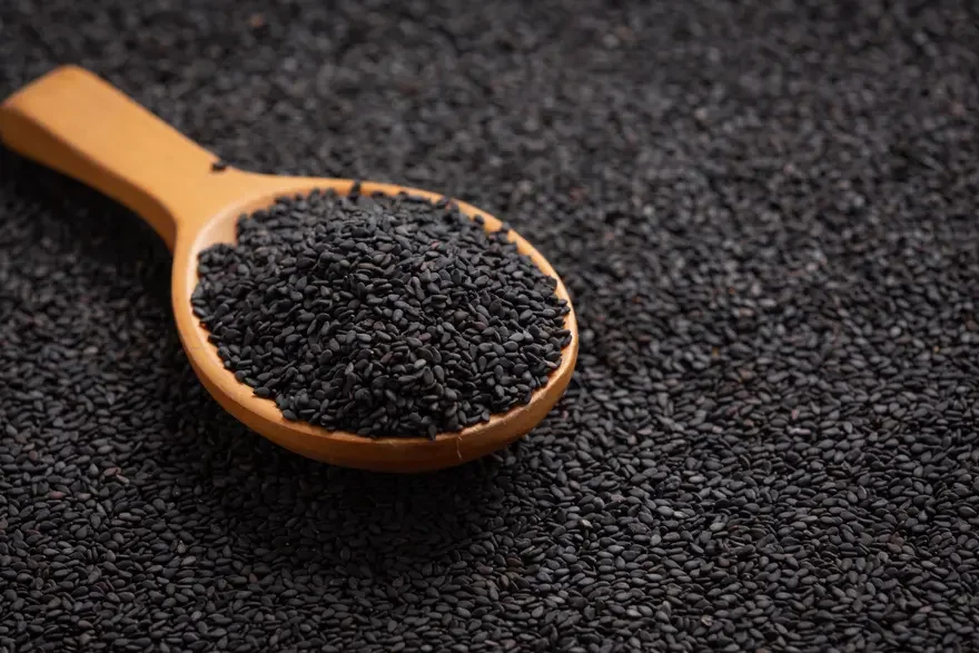 Black Seeds Image 2