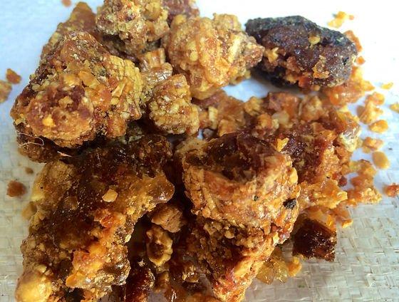 Opoponax Resin Image 2