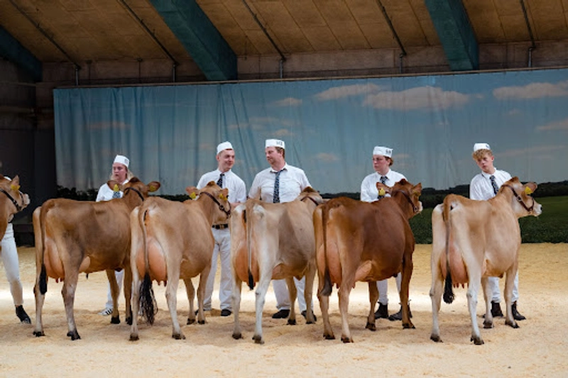 Why LANDSSKUET - NATIONAL AGRICULTURAL SHOW Matters for B2B - 1
