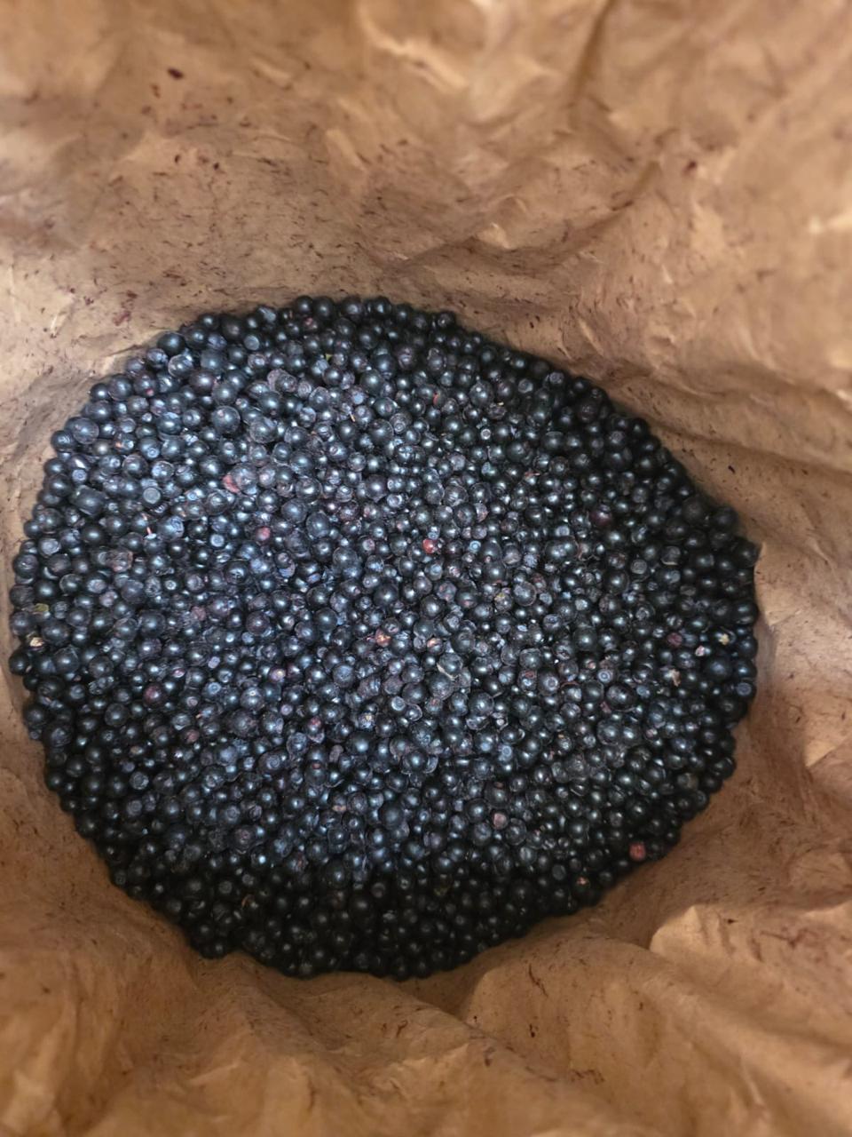 Frozen Wild Blueberries – Grade A, Cleaned (Scandinavian Origin)