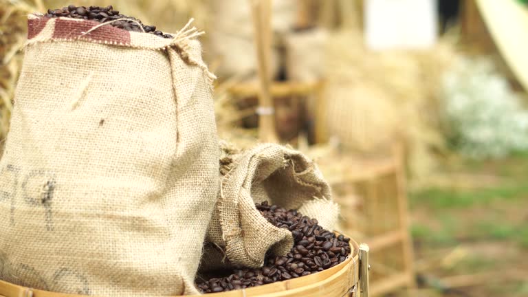 Your Expert Guide to Procuring Top-Tier Coffee Bean: Top 4 Coffee Bean Suppliers in Vietnam in Week 12 of 2025