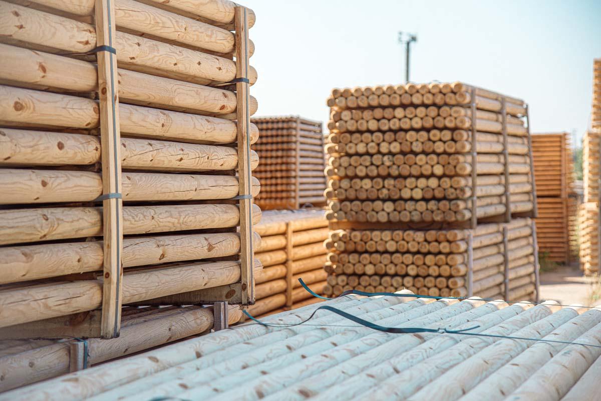 Pine Wood Logs