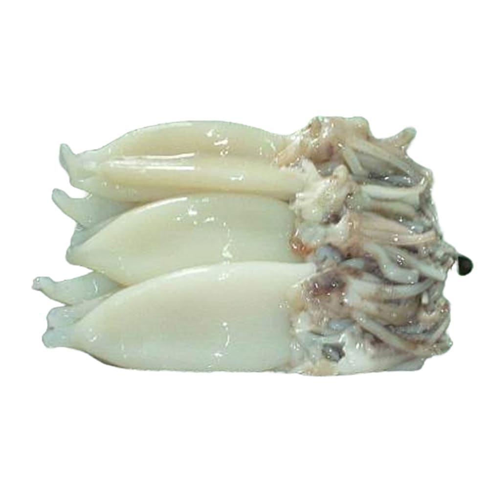 Frozen Fresh Illex Squid Premium Ocean Harvest With 98% Natural Quality For Bulk Seafood Distribution And Export Supply