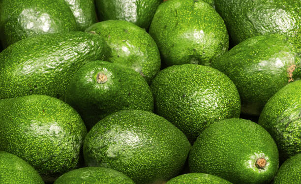 Top 8 Avocado Suppliers in Netherlands in Year 2025: Market Trends & Strategic Insights