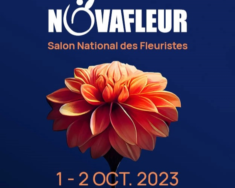 Inside NOVAFLEUR: B2B Key Insights