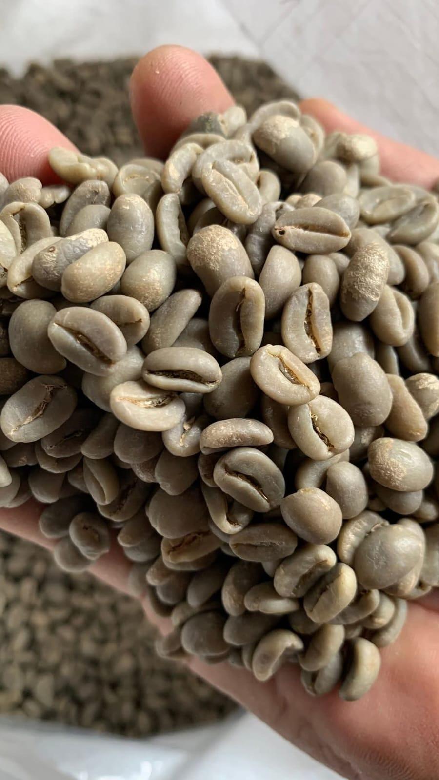 Discover the Top 10 Coffee Suppliers in Indonesia - 2