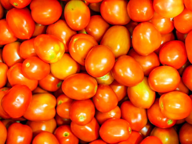 Top 9 Tomato Suppliers in India in June 2025: Navigating a Rapidly Changing Market