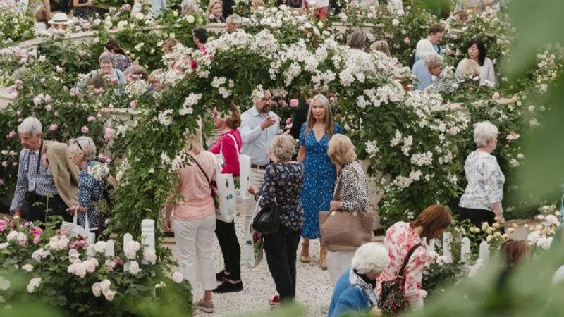 Why RHS Chelsea Flower Show Matters for B2B - 1