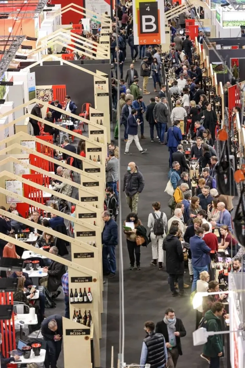 Wine Paris Revealed: B2B Opportunity - 3