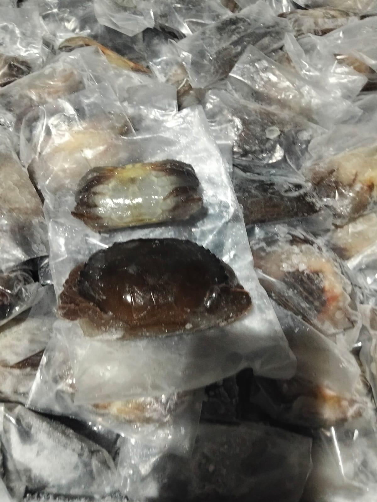 softshell crab