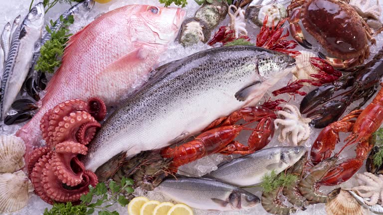 Top 3 Seafood Suppliers in United Kingdom in Week 09 of 2025: Export Trends, Market Insights & Supplier Picks