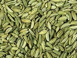 Fennel Seeds by MSQUARE TREND EXPORTS