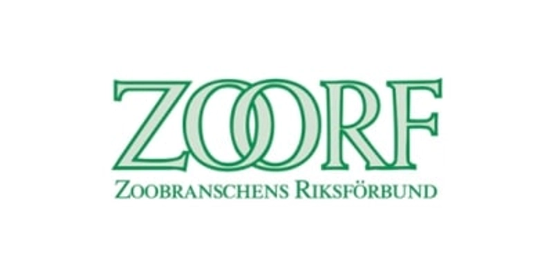 Inside ZoorfExpo: B2B Key Insights