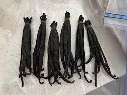 Vanilla Beans | Vanilla Beans Bulk | Vanilla Beans Wholesale