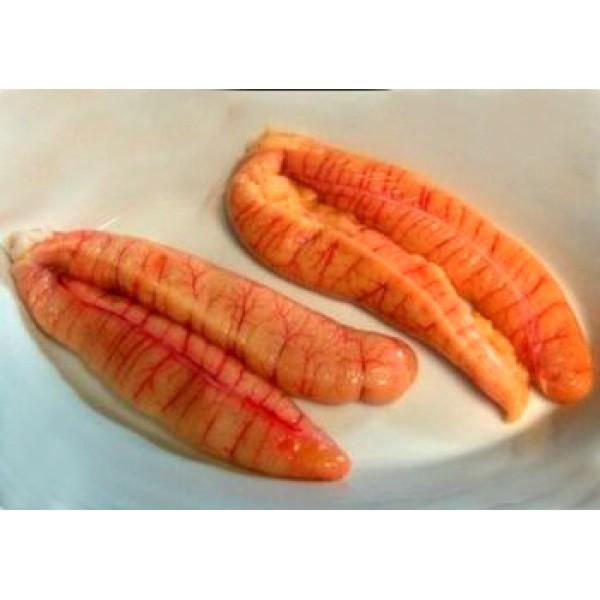 Wholesales  frozen fish egg Origin South Africa Moisture Content 70 – 80% Texture Firm, Not Mushy Or Broken Shelf Life Chilled 7–10 Days At