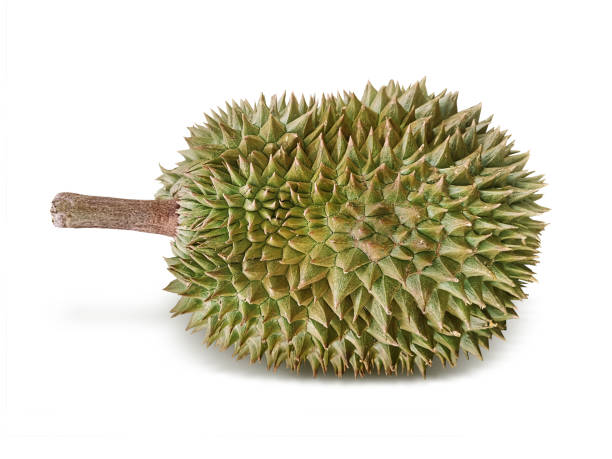 A Comprehensive Guide to Sourcing High-Quality Durian: Top 5 Durian Suppliers in Vietnam in Week 14 of 2025