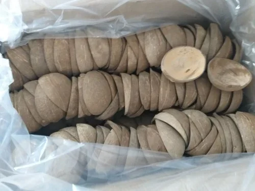 coconut shell oval  half use ice cream cups