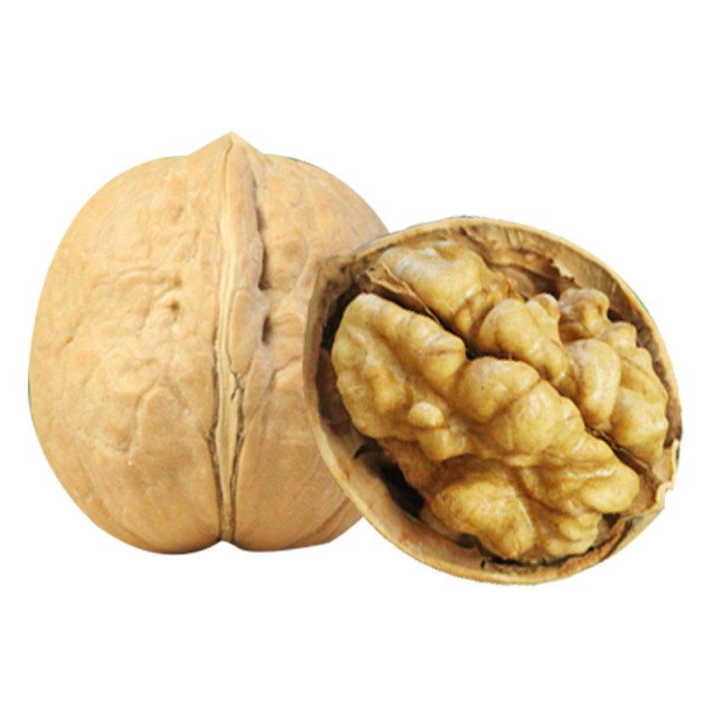 Walnut Best Price Common Walnut Nuts Top Class Walnut Kernels Dried Style Raw Waln AT Best Supplier Good Packaging Food