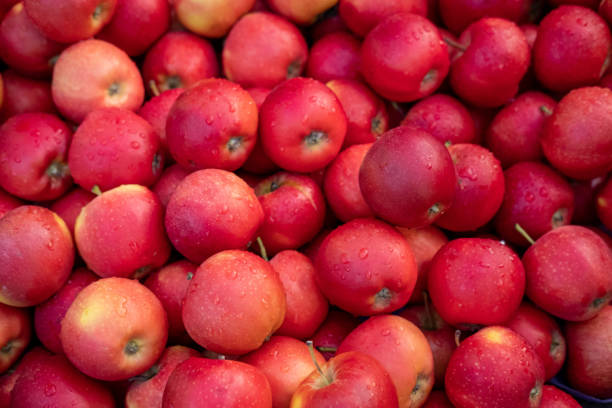 A Comprehensive Guide to Sourcing High-Quality Apple: Top 9 Apple Suppliers in Vietnam in Quarter 3 of 2025