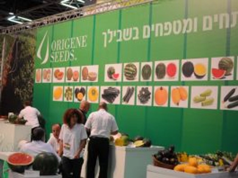 Inside AgroMashov: B2B Key Insights - 2
