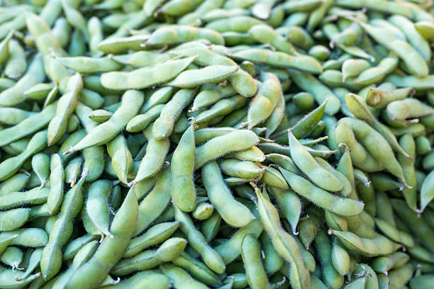 Top 3 Soybean Suppliers in United States in Year 2025: Navigating a Fast-Changing Market