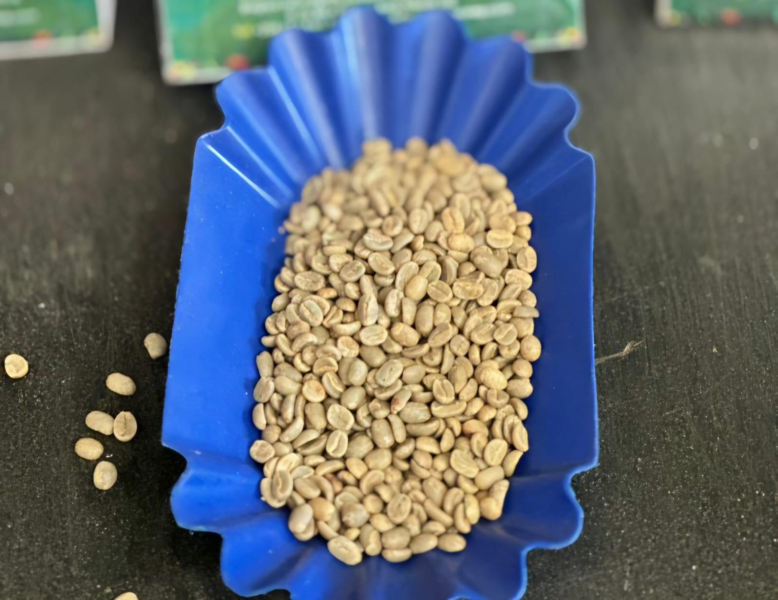 Discover the Top 7 Arabica Coffee suppliers in Kenya - 8