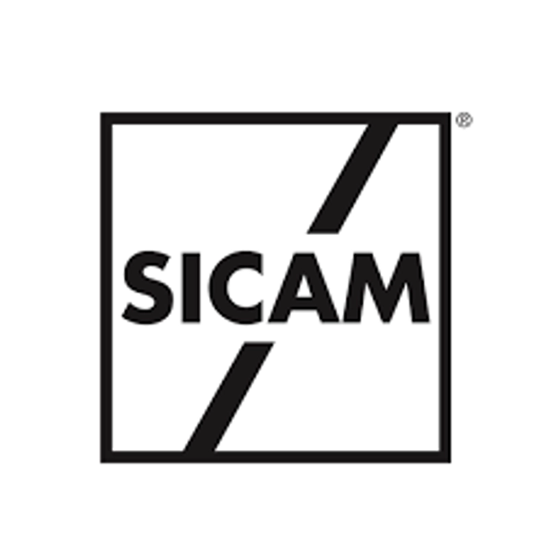 Unlock SICAM: Must-Know B2B Event
