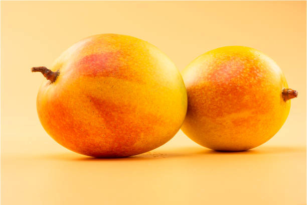 Your Expert Guide to Procuring Top-Tier Mango: Top 3 Mango Suppliers in Poland in September 2025