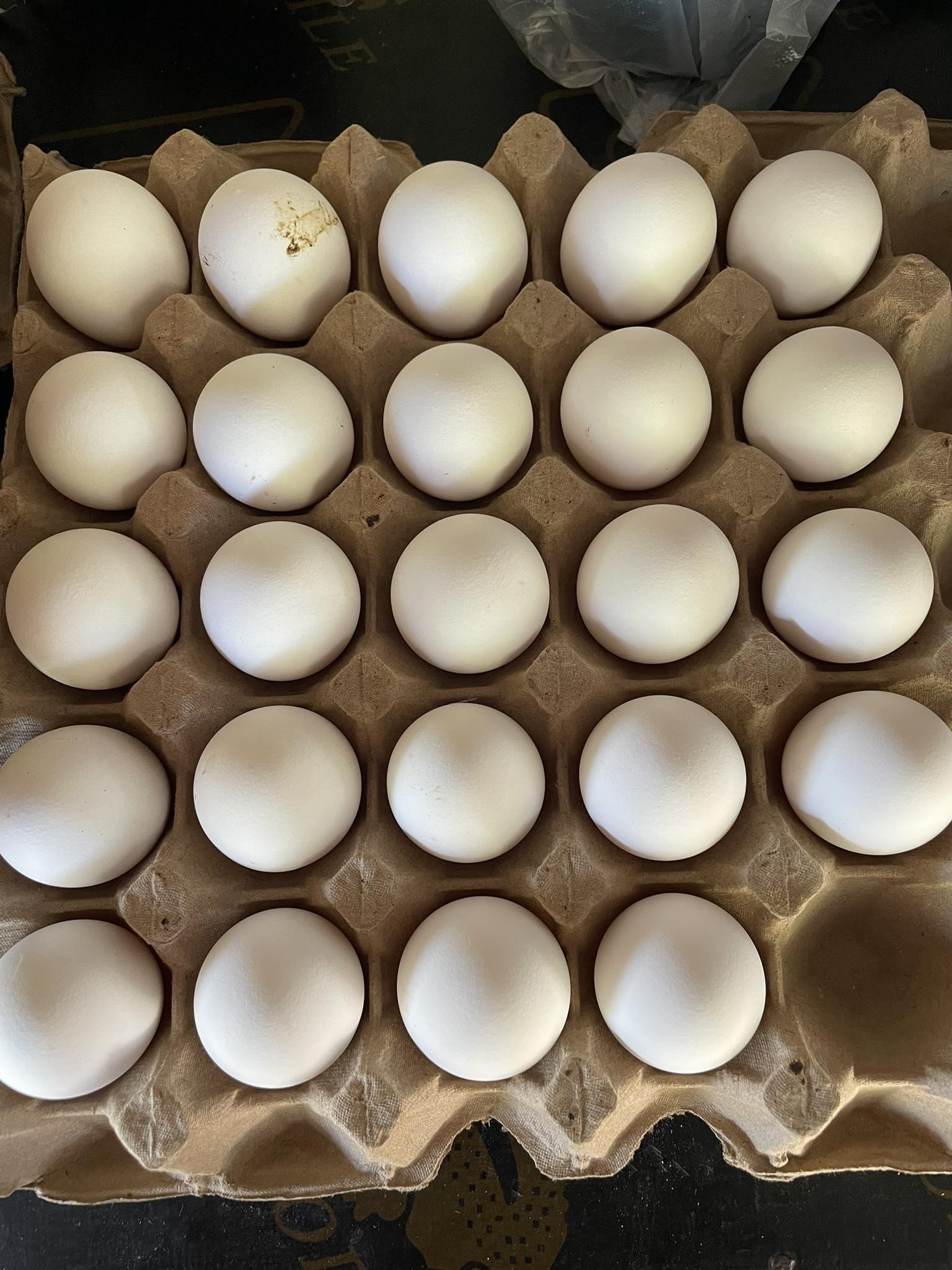 Best Quality Fresh Brown Table Chicken Eggs Cheap Organic Yes Color Beige, Brown, White Degree of Processing Boiled, Chilled, Peeled, Sliced