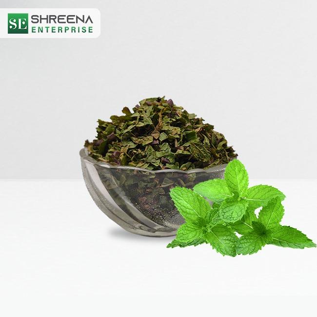 High Nutritional Value Freeze Dried coriander leaves | Wholesale Plant Extract pudina leaves dried | single spices and herbs