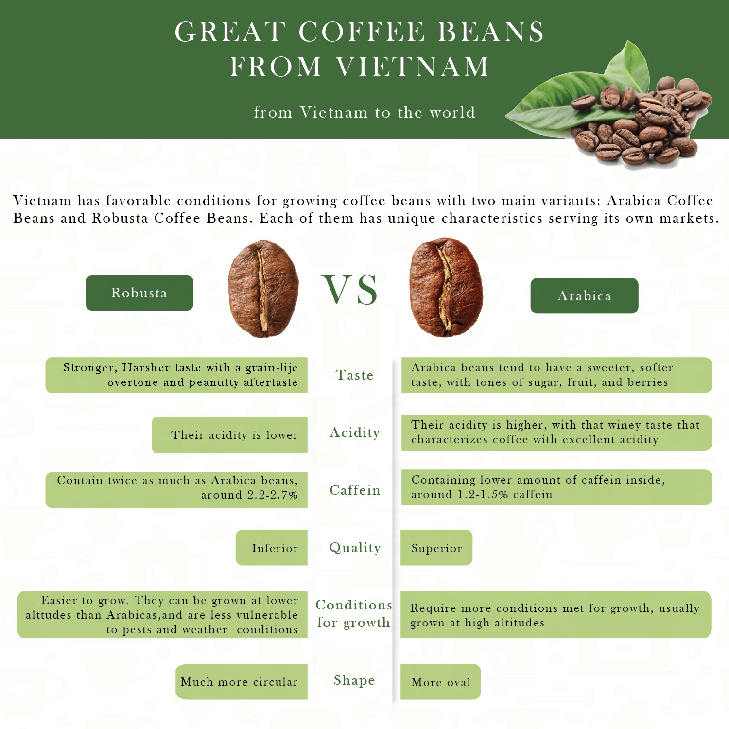 Coffee Wholesale Coffe Floured Coffee Bean Private Label Healthy Drink Green Coffee Bean