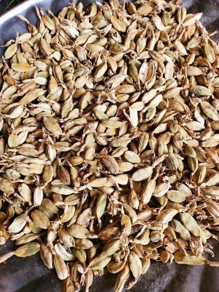 Premium Cardamom from IJAD AGRO BUSINESS