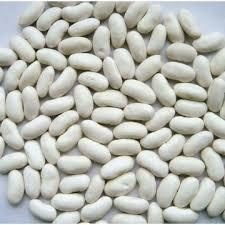 High Quality White Beans from Egypt