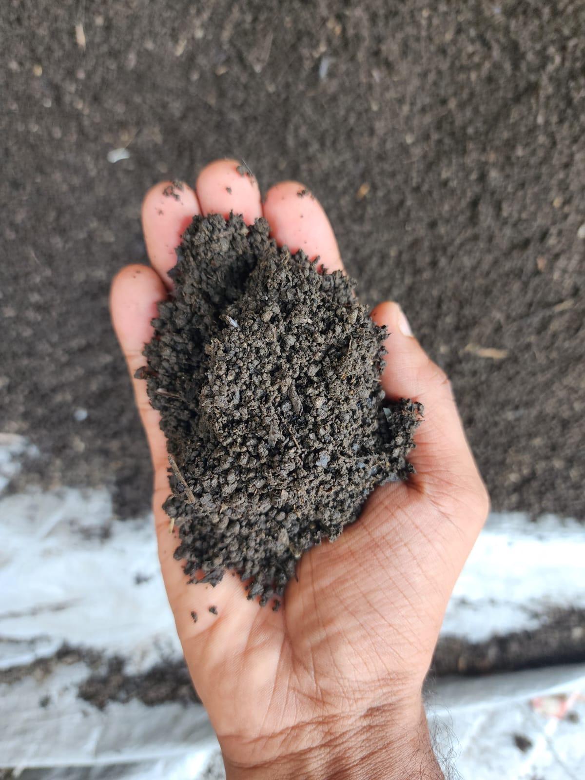Organic Fertilizer