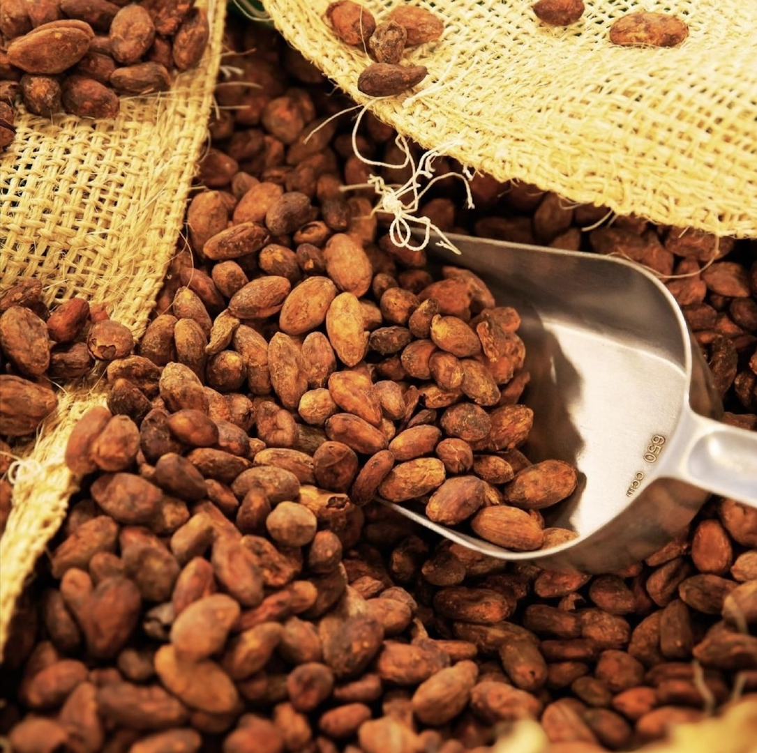 Best Cocoa Beans Premium Cocoa (Cacao) Beans 1Kg,60Kg Jute Bags On Sale