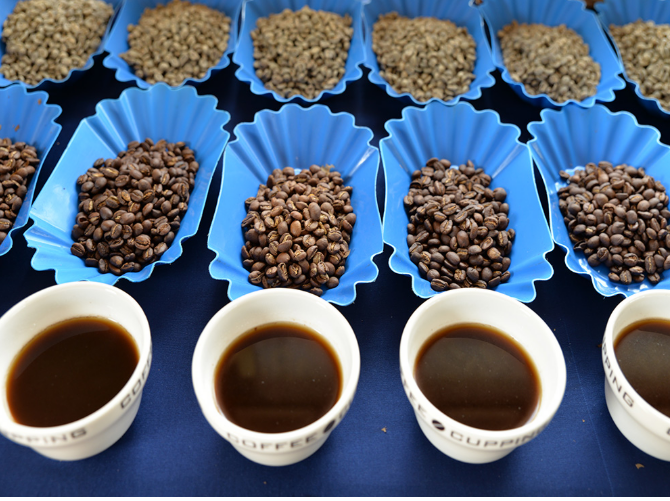 Kenyan Arabica Green Coffee Beans