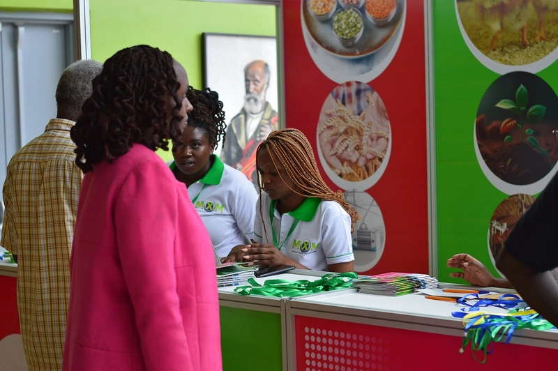 Grains Africa Nigeria Spotlight: B2B Essentials - 2