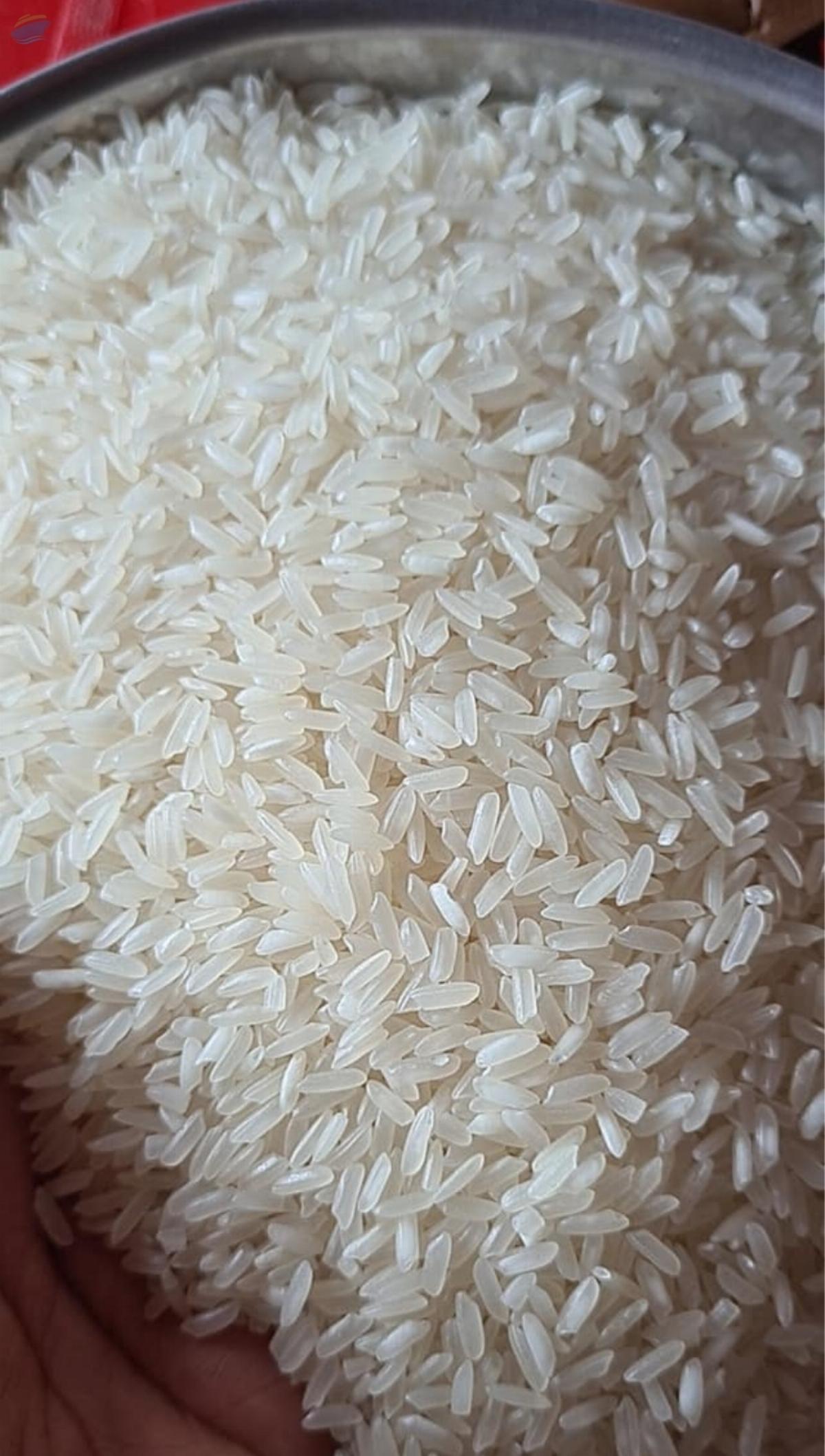 Rice Bran Oil