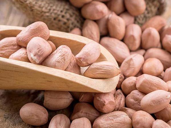 Groundnuts Grading and Packaging
