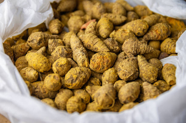 Top 4 Turmeric Suppliers in South Africa in July 2025: A Timely Market Analysis