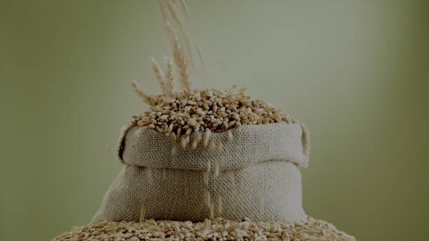 Your Expert Guide to Procuring Top-Tier Grain: Top 5 Grain Suppliers in United Kingdom in June 2025