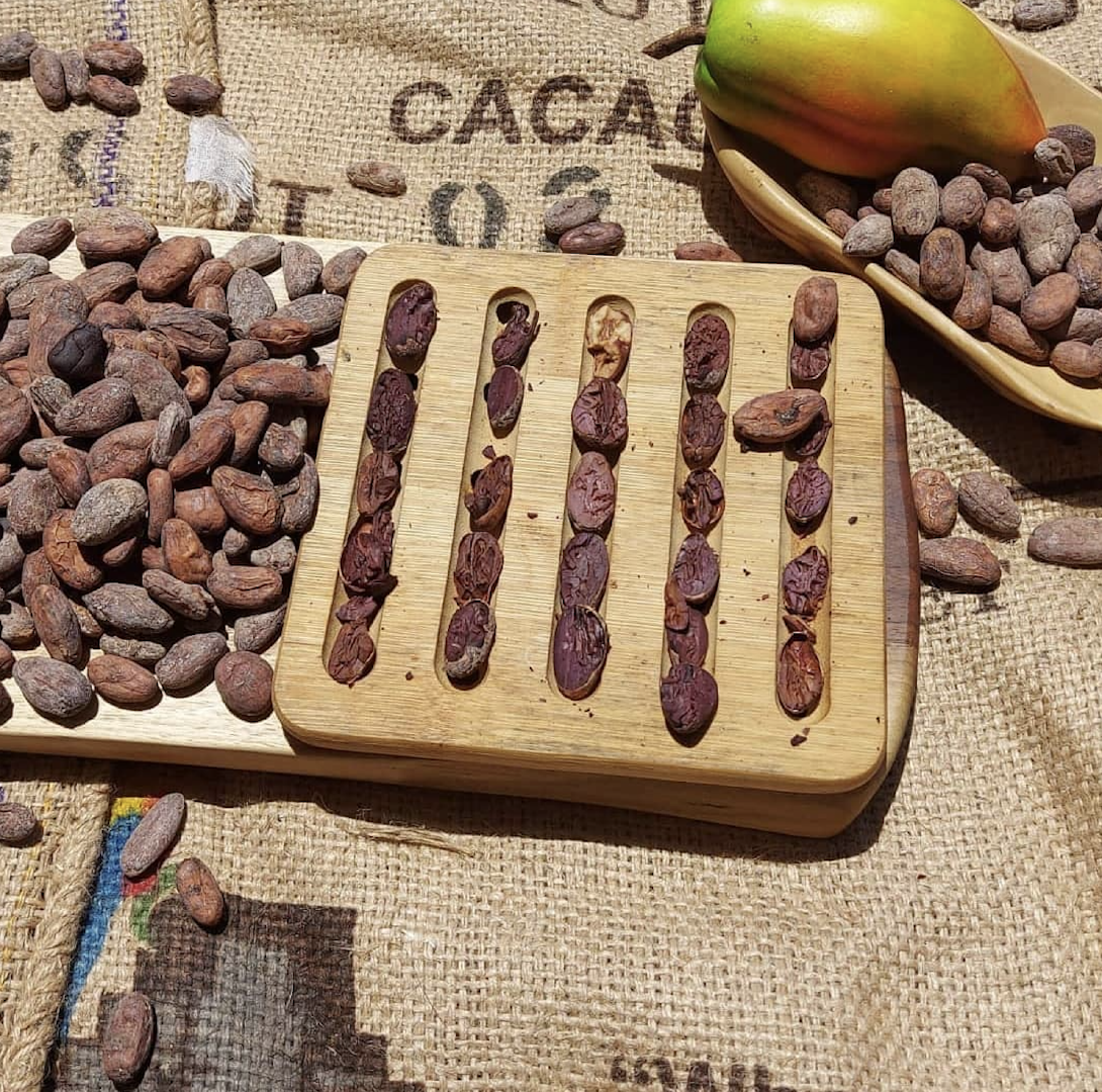 Premium Cocoa – Export Quality Cocoa / Cacao Beans | Honduras Origin | 50kg Bags Sale