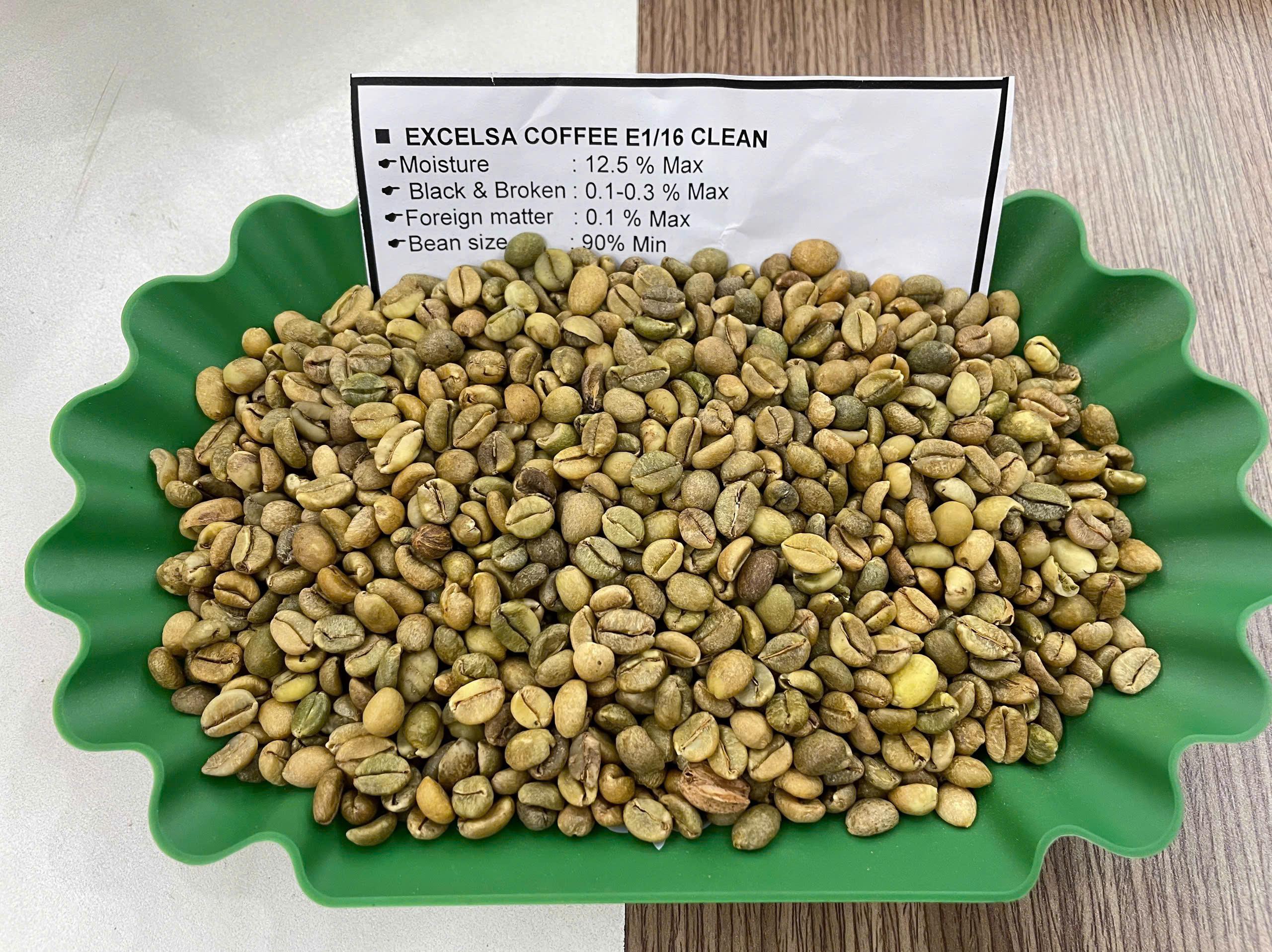 EXCELSA COFFEE E1/16 CLEAN