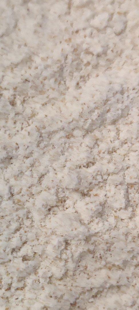 Whole Wheat Flour