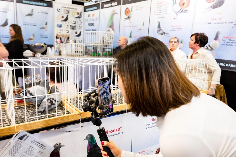 Why Attend International Pigeon Racing Fair (FUGARE)? B2B Intro - 1