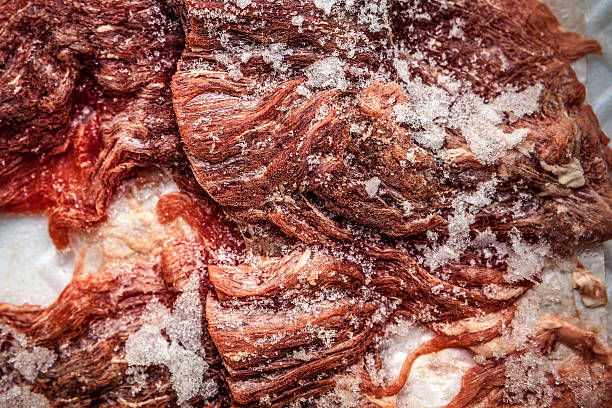 Top 10 Frozen Meat Suppliers in Belgium in Quarter 3 of 2025