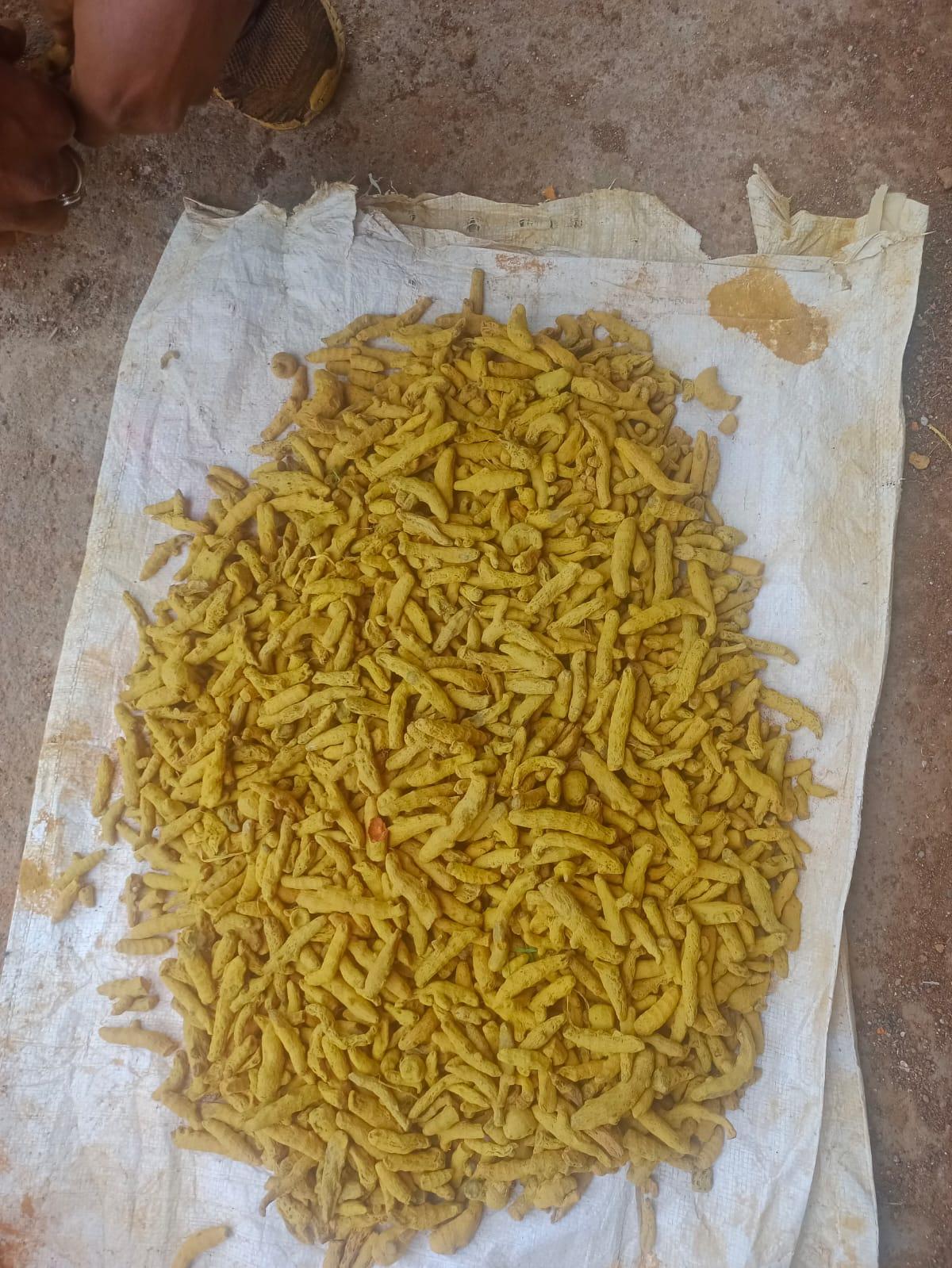 Top 9 verified Turmeric suppliers in India - 8