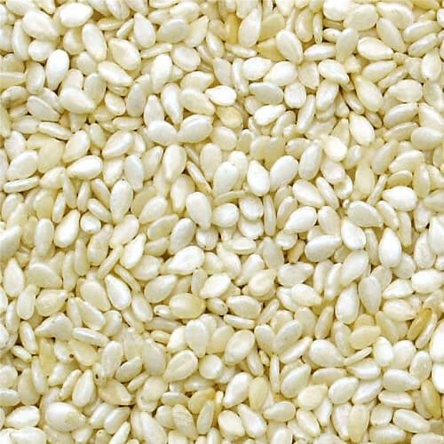 Best White Toasted Hulled Sesame Seeds Custom Packing Reasonable Price Directly Supplied by Agriculture Products Supplier WhatsApp +255787979235
